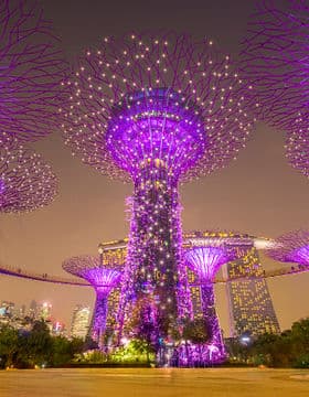 Singapore Starry Night Tour : River Cruise, Garden Rhapsody & Spectra Light Shows