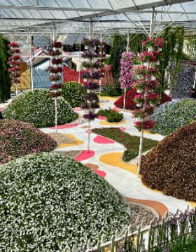 Cameron Highlands Day Tour with Lunch (Guided Tour)