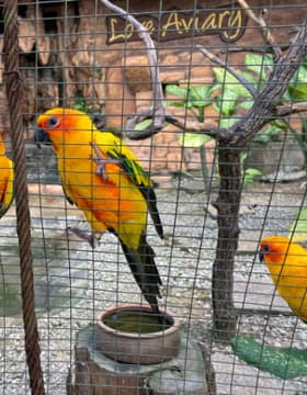 Kuala Lumpur: Bird Park Day Ticket & 1-Way Transfer 