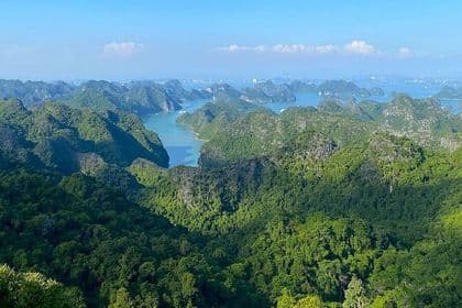 Full-Day Adventure: Trekking and Hiking in Cat Ba National Park
