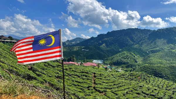 Depart to Cameron (journey of 4 hours+)