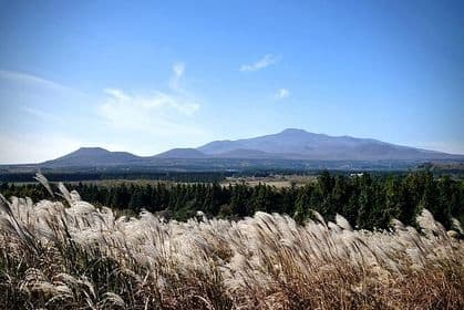 Full Day 12 hours whole Jeju Island private flexible tour