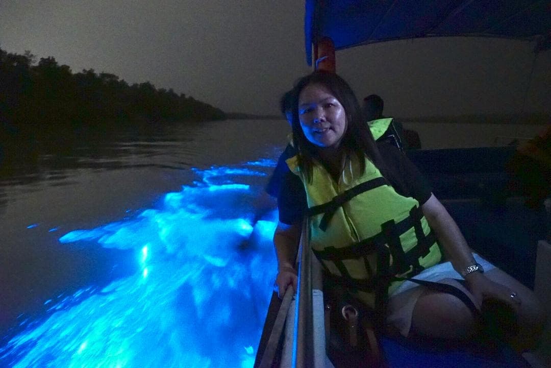 Kuala Selangor Fireflies (Observe fireflies and blue tears tour)