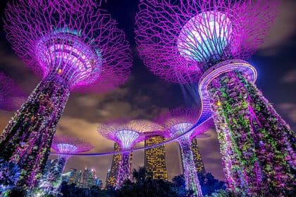 Singapore: Private Customized Night Tour with driver