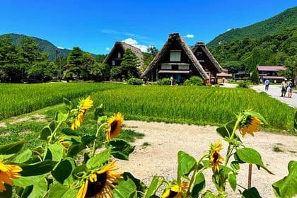 Private Transfer from Takayama to Kanazawa Including Shirakawago