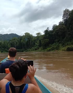 Taman Negara National Park with Canopy Day Trip (SIC - Join In Tour)
