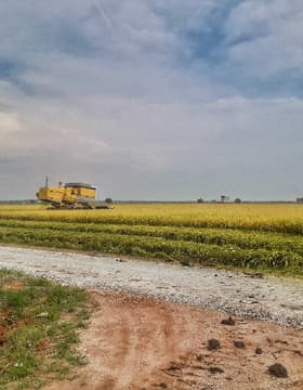 Paddy Field, Fishing Village Sekinchan Day Tour With Lunch (SIC - Join In Tour)