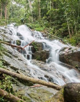 Templer’s Park Half Day Tour (SIC - Join In Tour) 