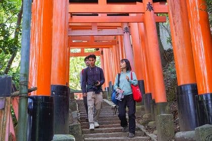 1-Day Kyoto & Nara Day Trip Highlights Tour with a Private Car