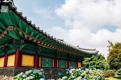 Jeju East Hydrangea Tour with UNESCO site