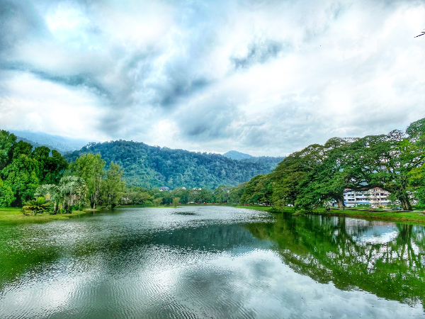 15:00pm visit Taiping Lake for Rain Tree 