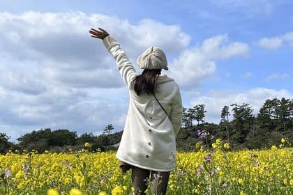Jeju island Southern Unesco Mt.halla ONE day Bus Tour