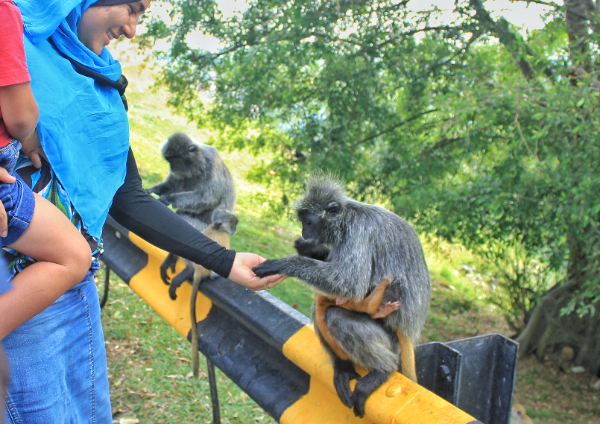 Altingsburg Lighthouse