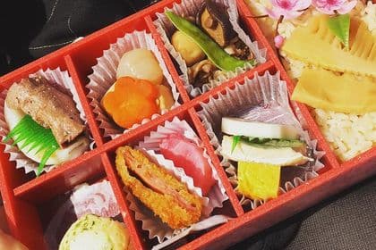 Tokyo Spring Daytime (Cherry Blossom) Food Tour