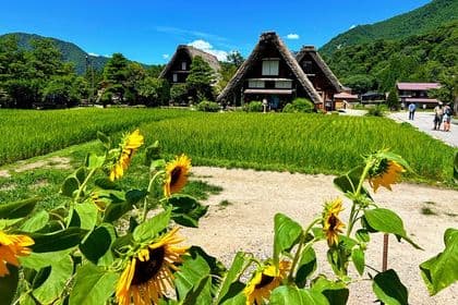 Private transfer Kanazawa to Takayama Including Shirakawago