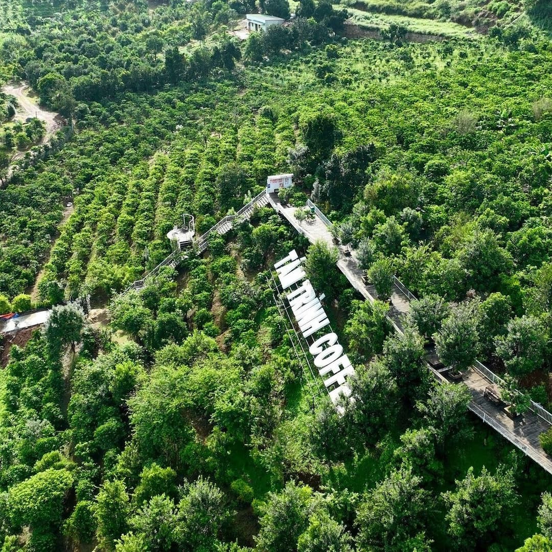 Tam Trinh Coffee Experiences