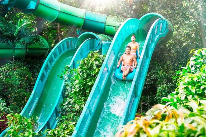 Adventure Cove Waterpark