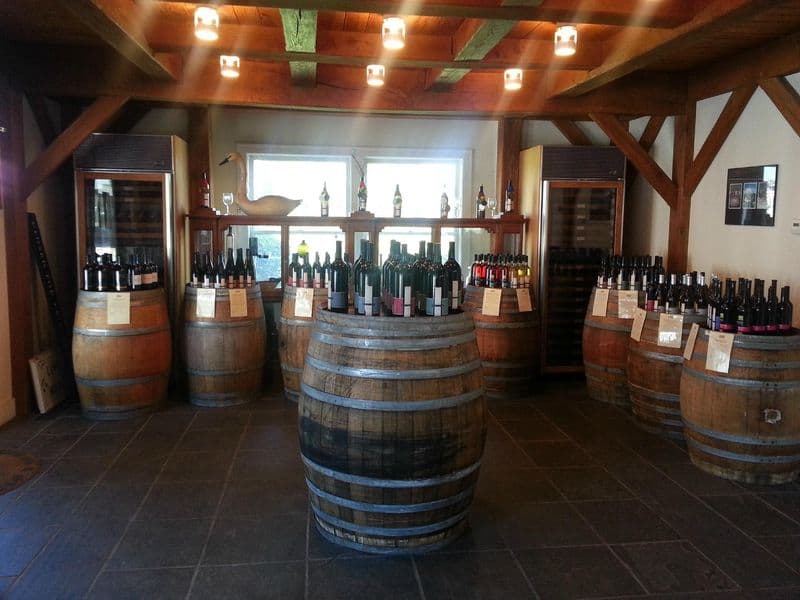 Pellegrini Vineyards