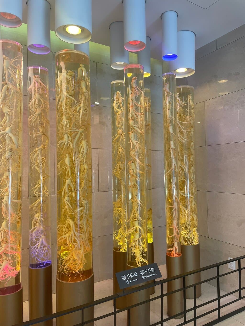 Cheongha Korea Ginseng Museum