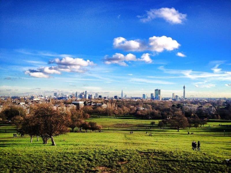 Primrose Hill