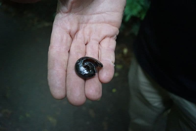 Great Otway National Park
