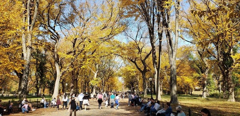 Central Park's Literary Walk