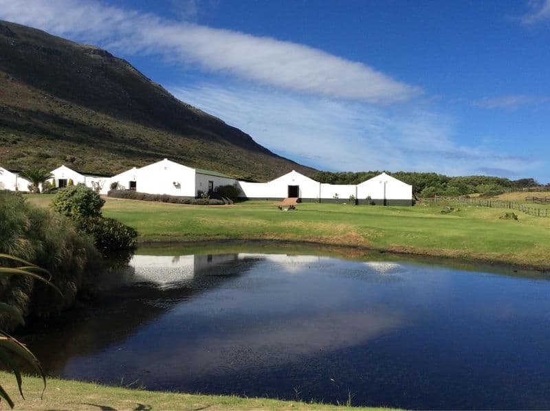 Cape Point Ostrich Farm