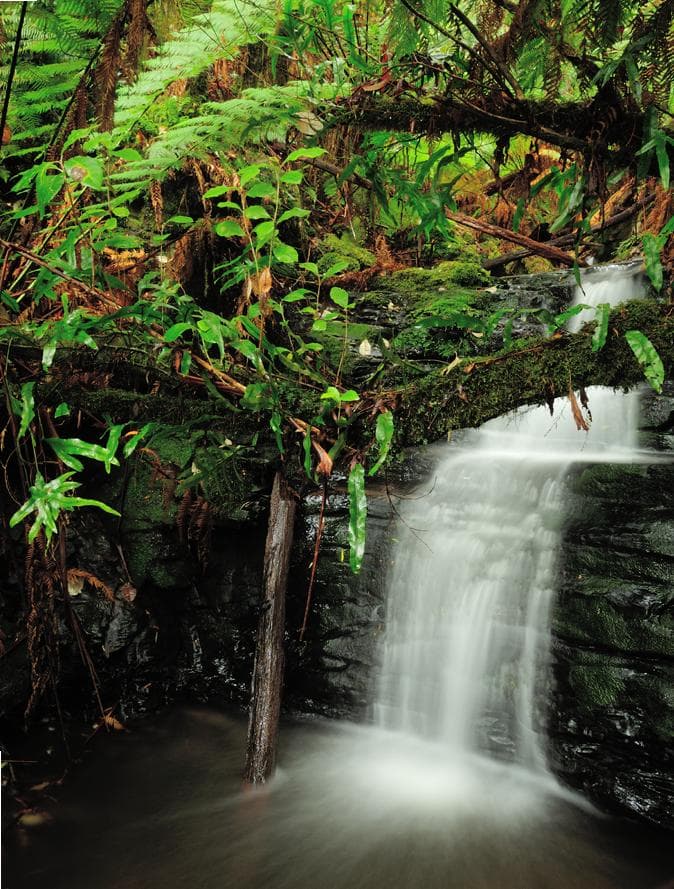 Great Otway National Park