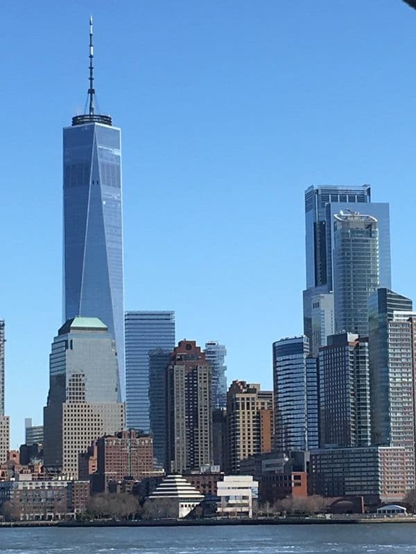Charging Bull (Wall Street Bull)