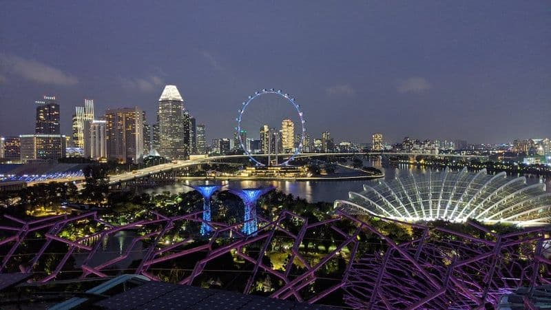 Supertree Observatory