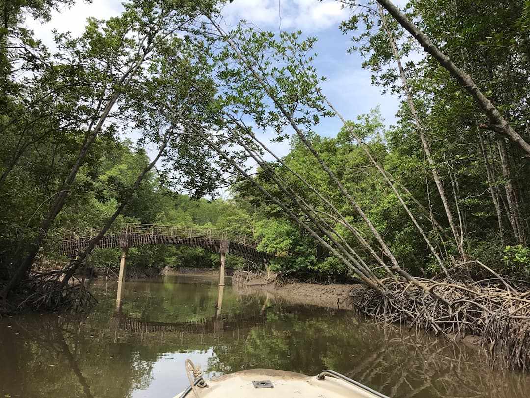 Can Gio Mangrove Biosphere Reserve