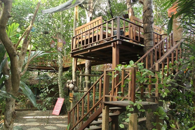 Merta Harum Agroo Plantation