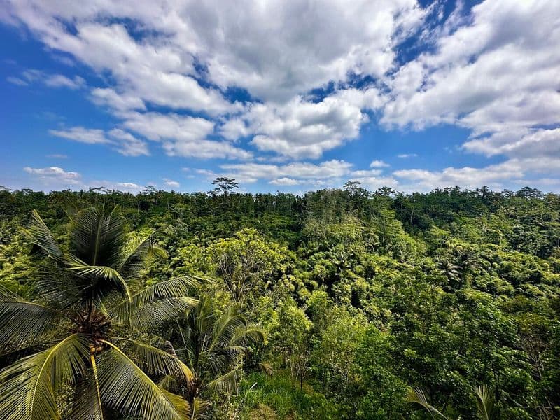 Segara Windhu Coffee Plantations