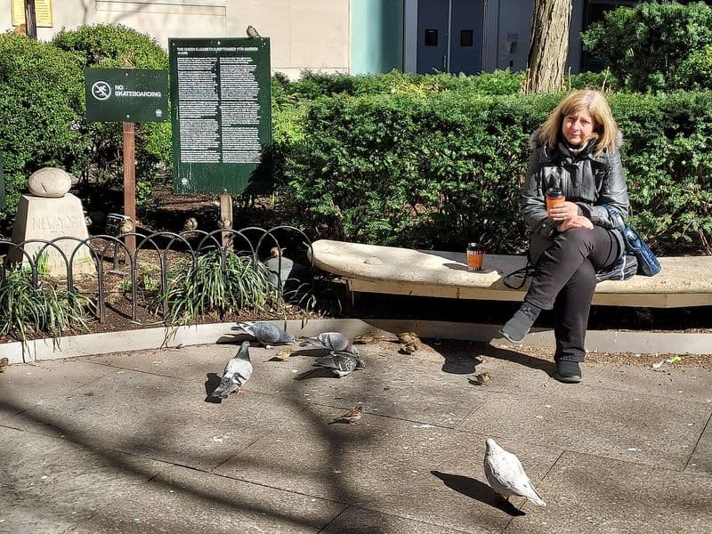 Queen Elizabeth II Garden