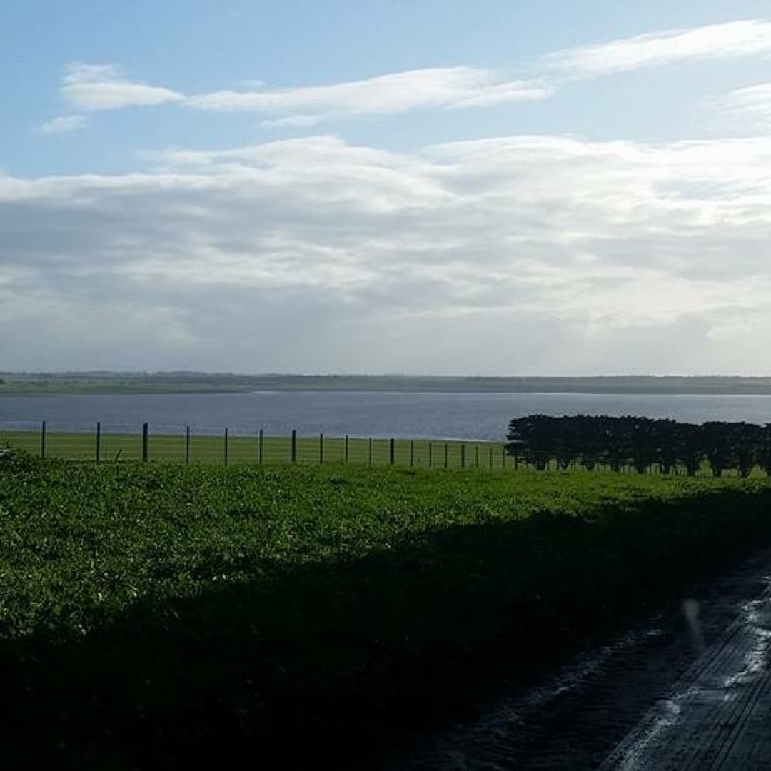 Winchelsea