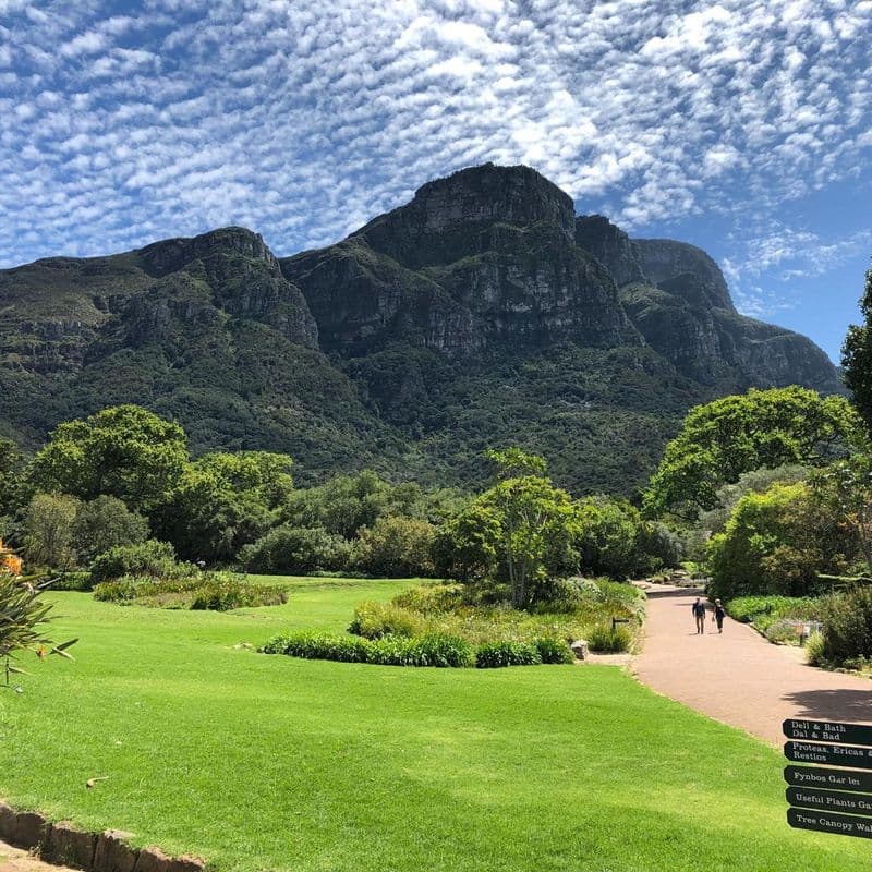 Kirstenbosch National Botanical Garden