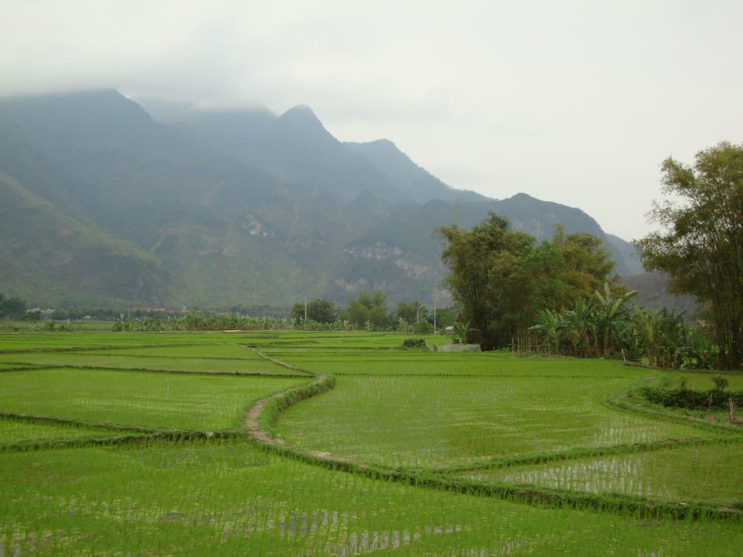Mai Chau