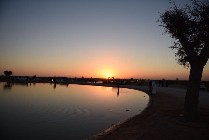 Al Qudra Lake