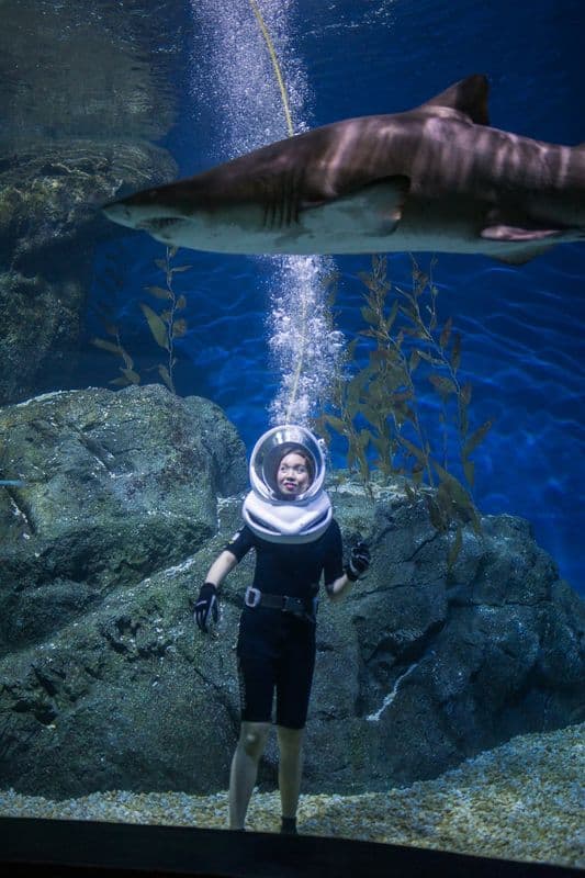 SEA LIFE Bangkok Ocean World