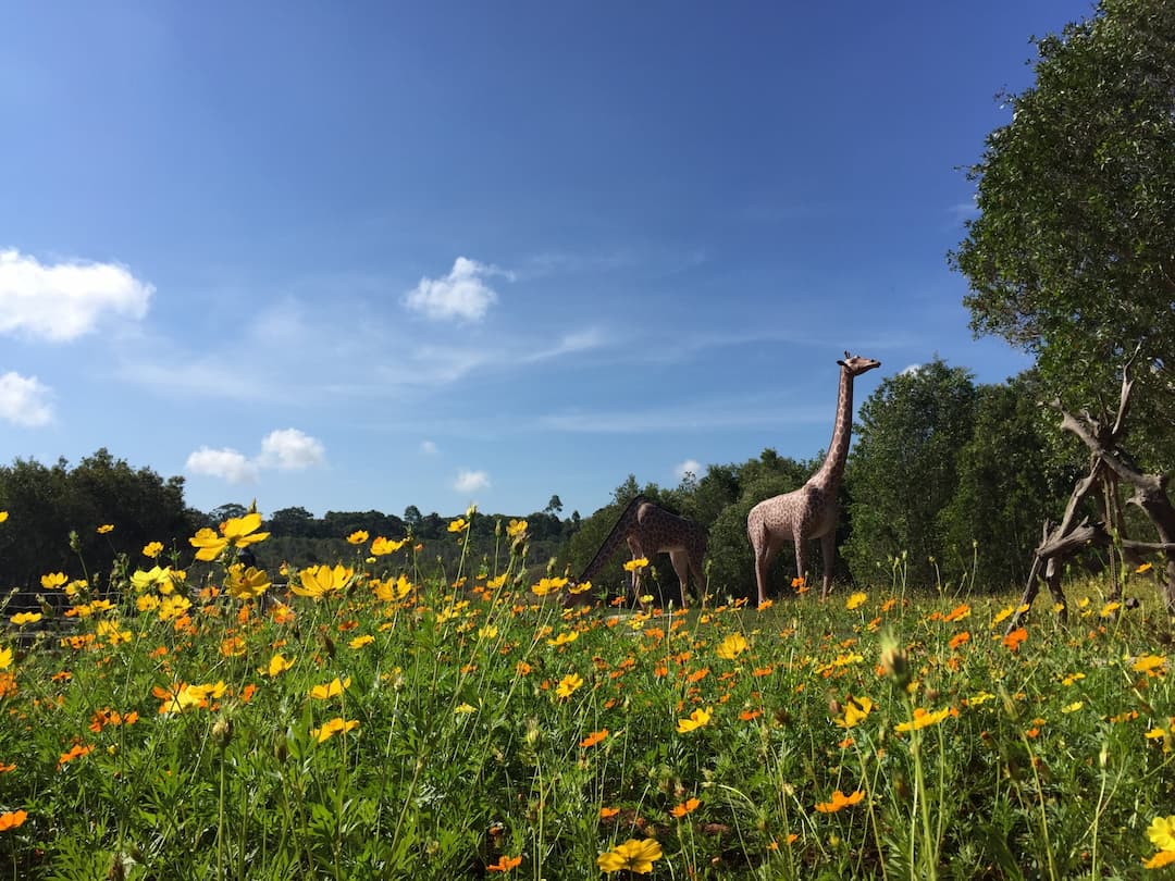 Binh Chau - Phuoc Buu Nature Reserve