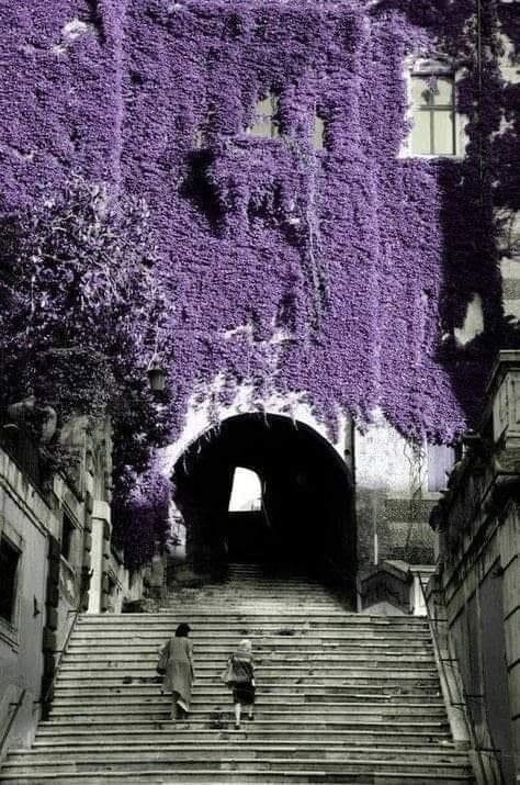 Scalinata dei Borgia