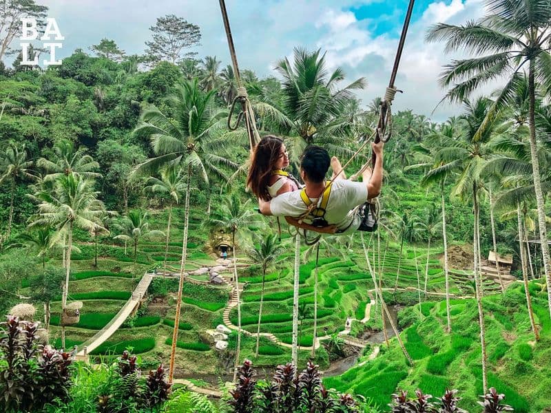 Luwak Coffee Bali Plantation