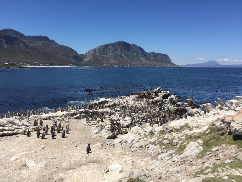 Stony Point Nature Reserve