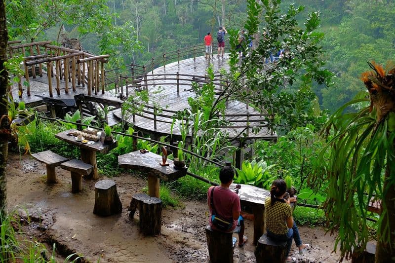 Bali Pulina Coffee Plantation