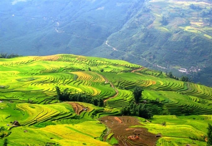 Terraced Rice Fields in Shin Chai Village
