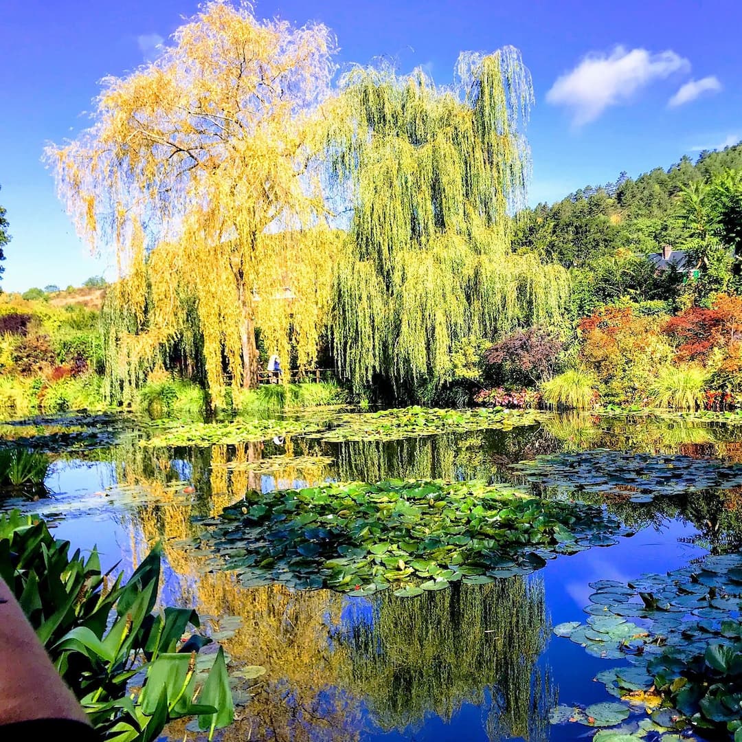 The Clos Normand - Fondation Claude Monet