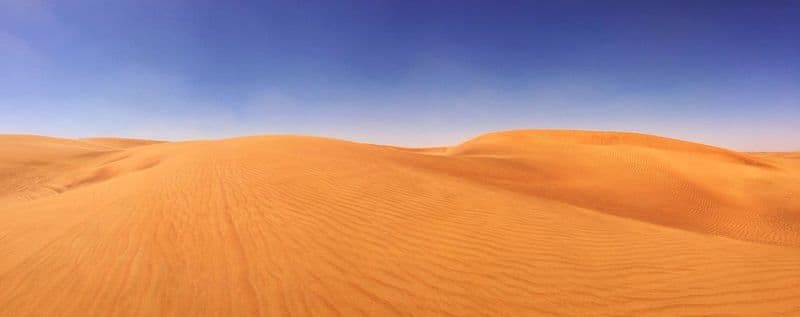 Dubai Desert Conservation Reserve