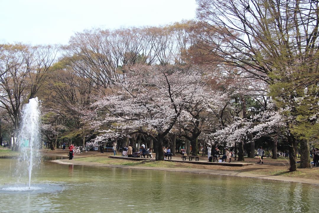 Yoyogi Park