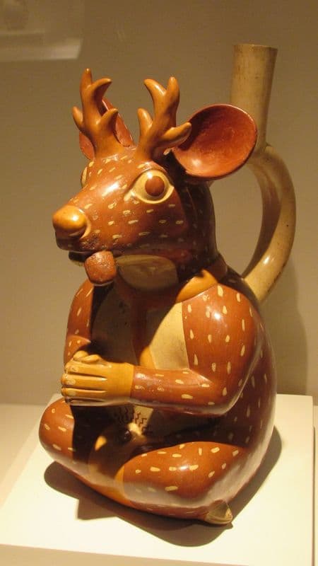 Museo de Arte Precolombino