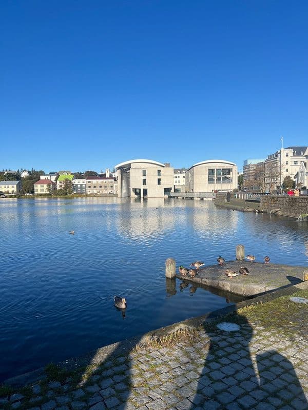 Reykjavik City Hall